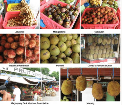 Fruit Stand Market Magsaysay, Bankerohan, Davao)